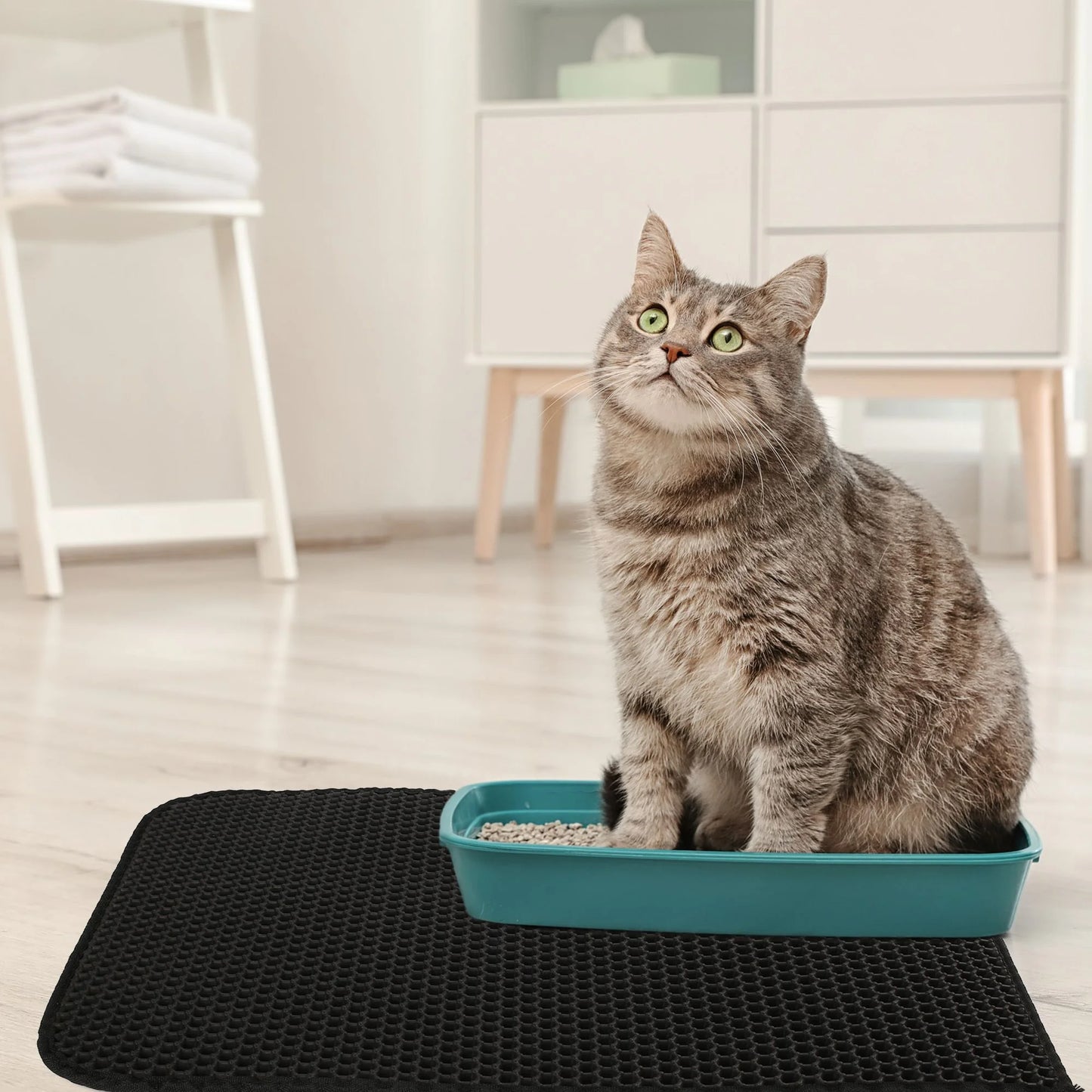 Revolutionary Cat Litter Mat - Extra Large Double Layer Waterproof Urine Trapper with Non-Slip Honeycomb Design, 24" x 15", Black