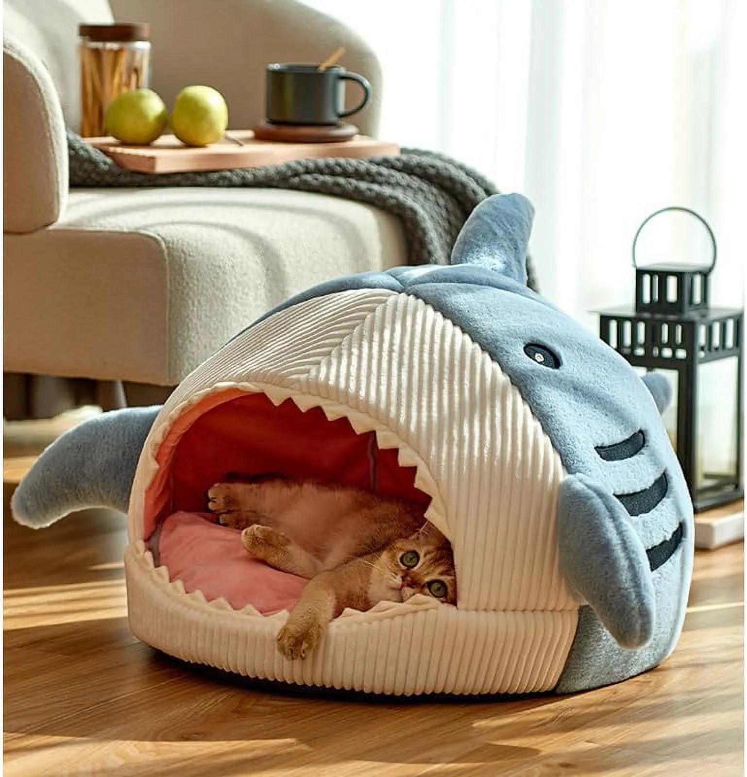 Cozy Shark-Shaped Large Cat Bed with Removable Washable Pillow in Blue - Perfect for Your Feline Friend!