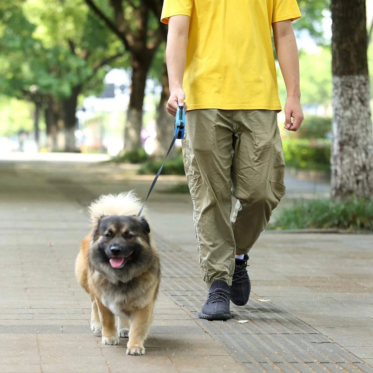 Elevate Your Walks with Our Premium 16ft Retractable Dog Leash - Perfect for Small to Medium Dogs and Cats!